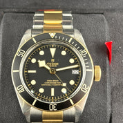 Tudor 79733 Black Bay S&G