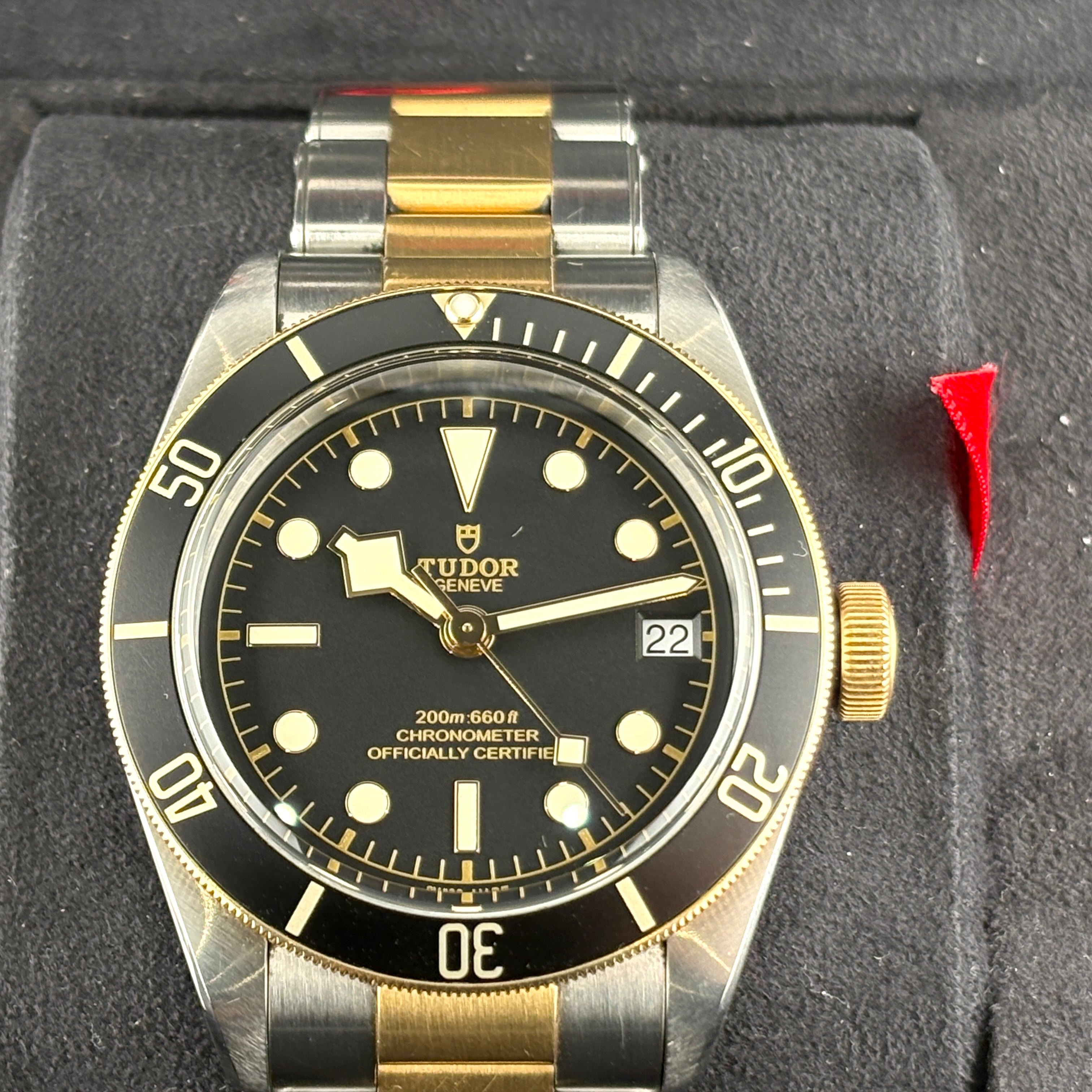 Tudor 79733 Black Bay S&G