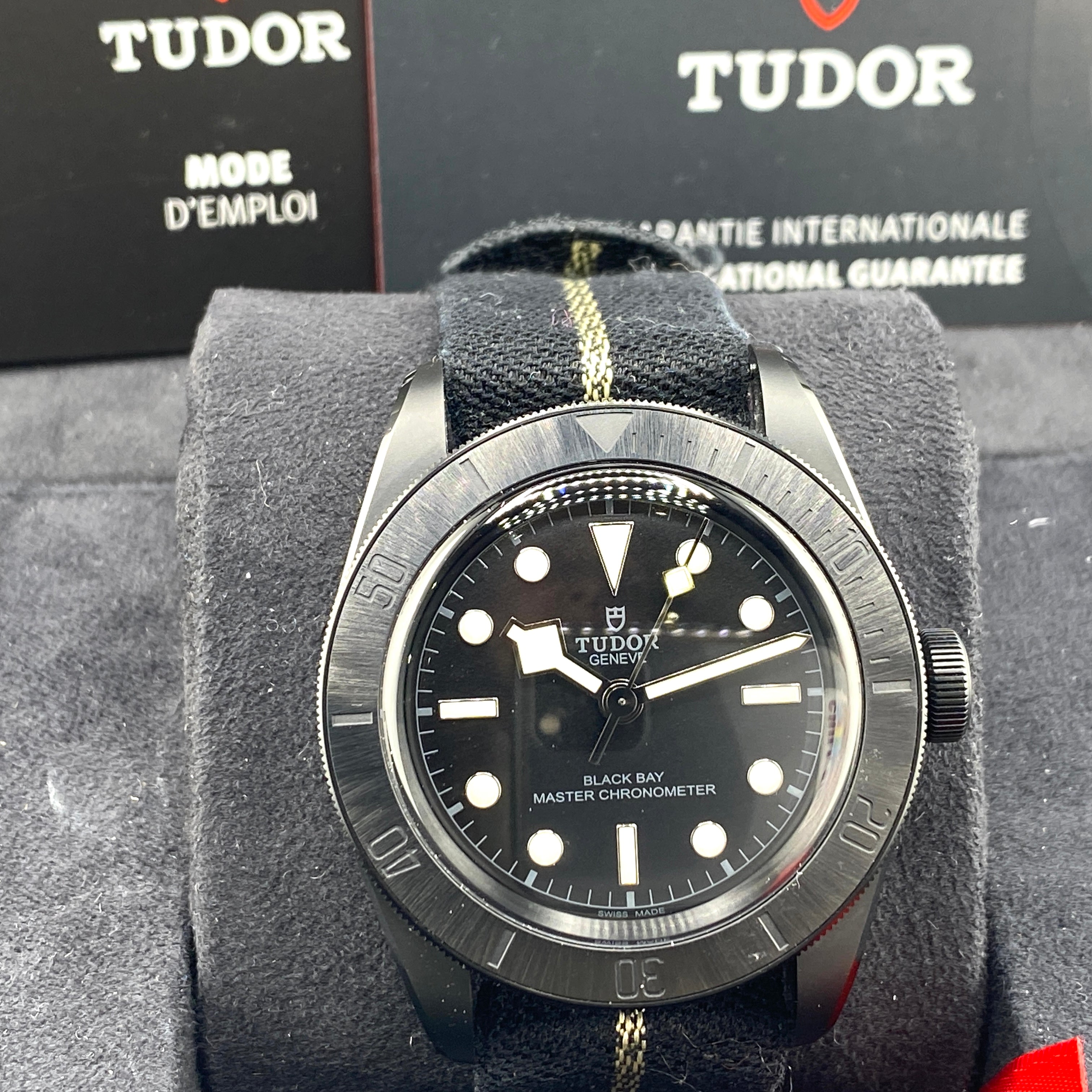 Tudor Black Bay