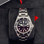 Tudor Black Bay