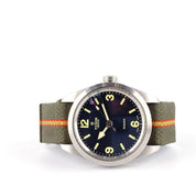 Tudor Ranger