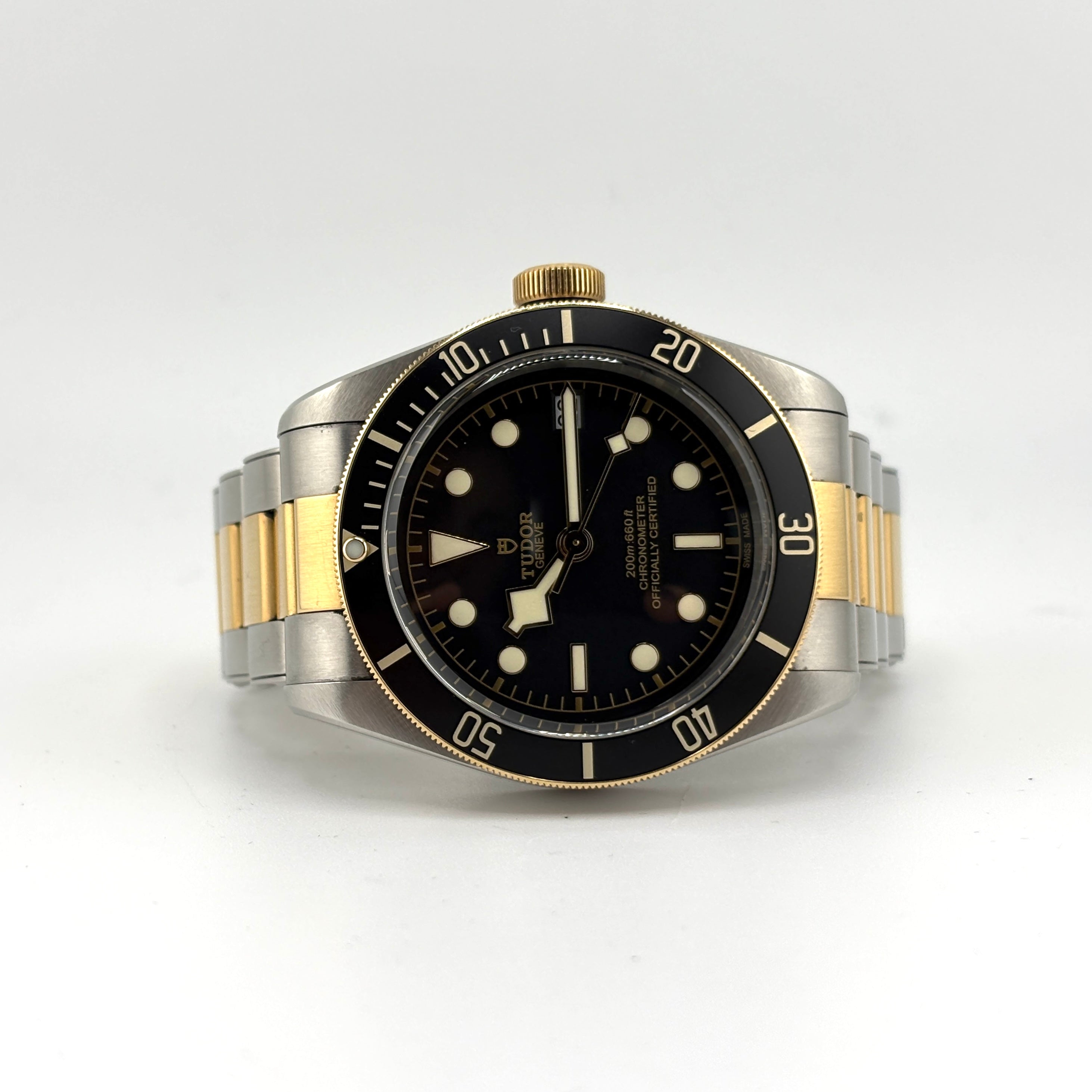 Tudor 79733 Black Bay S&G