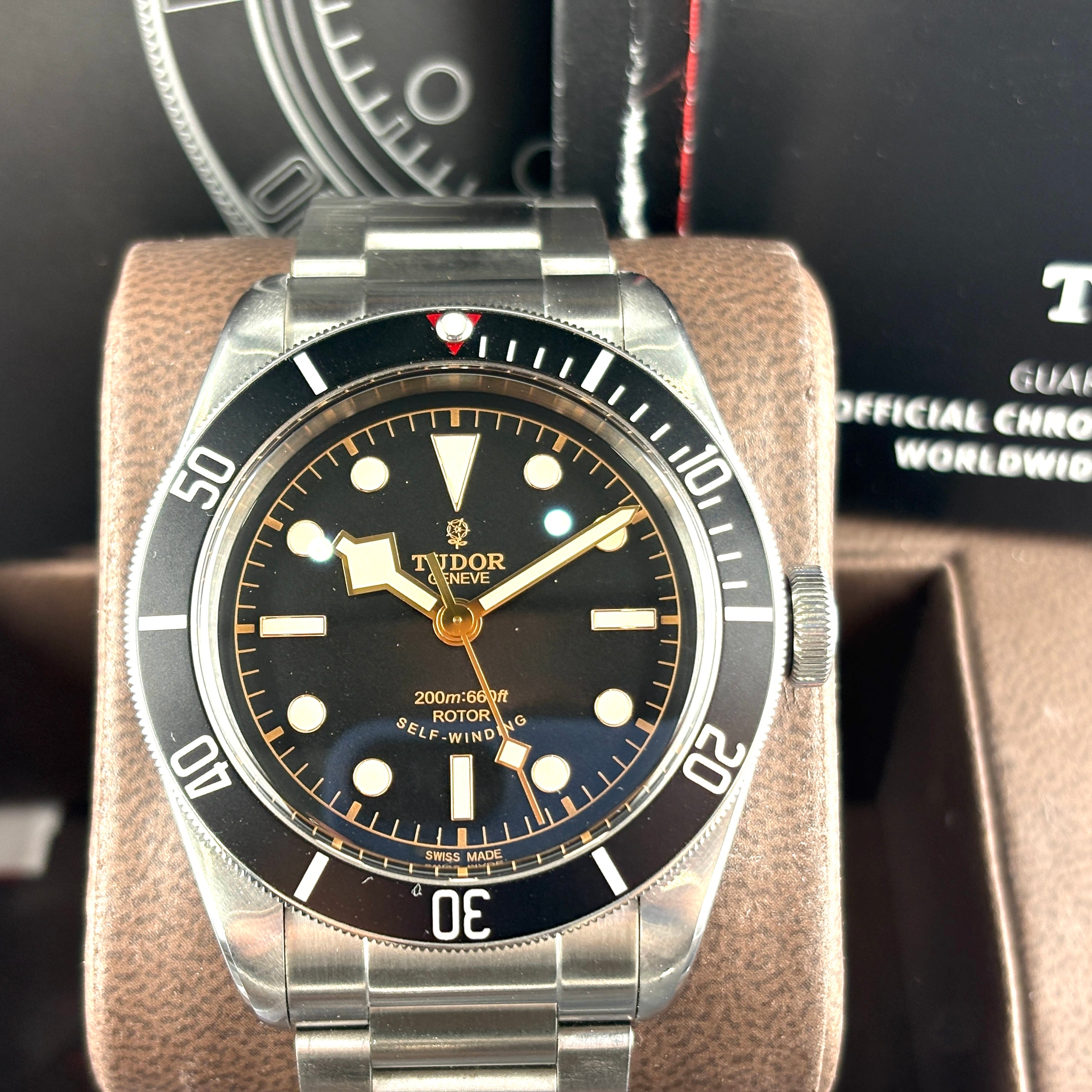 Tudor Black Bay