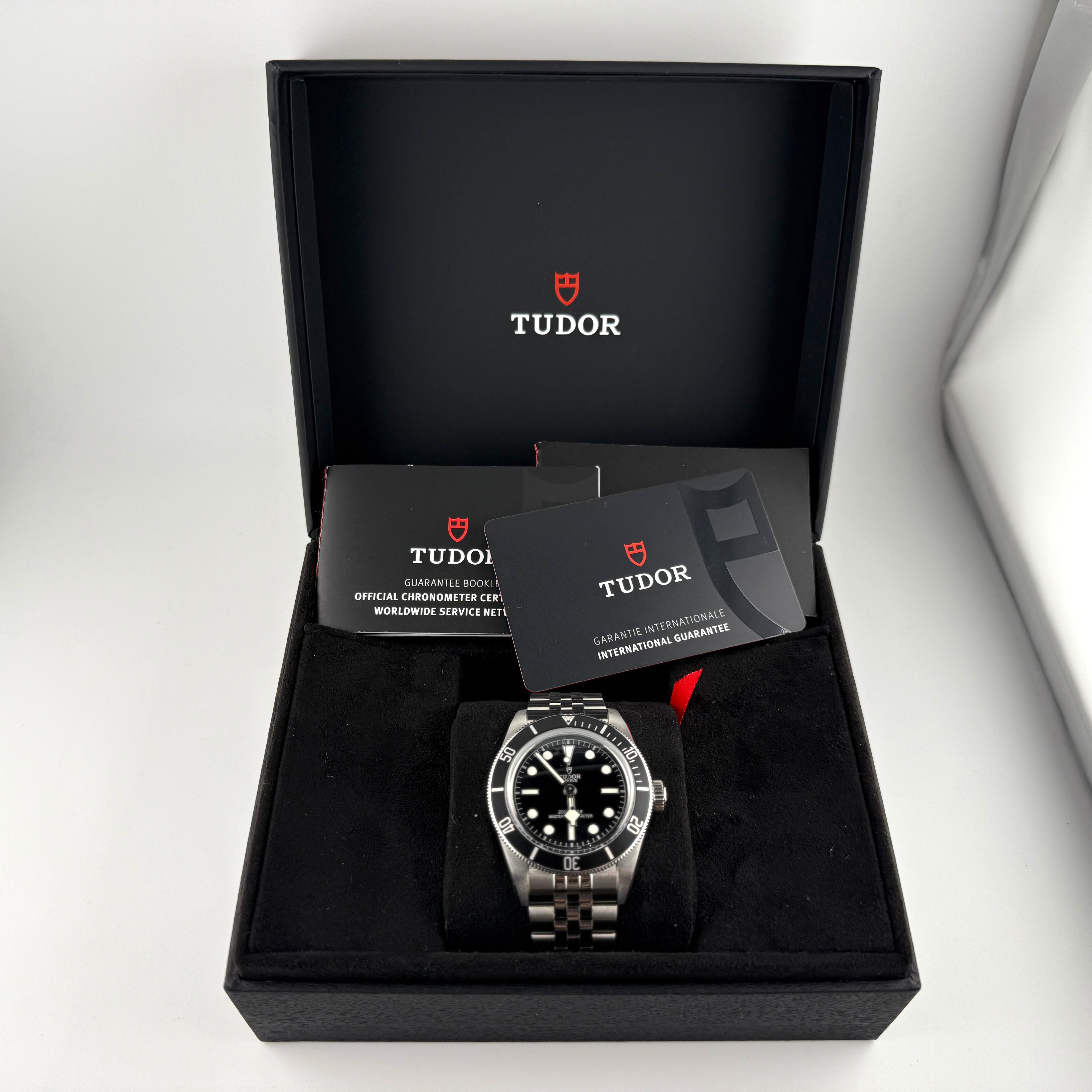 Tudor Black Bay