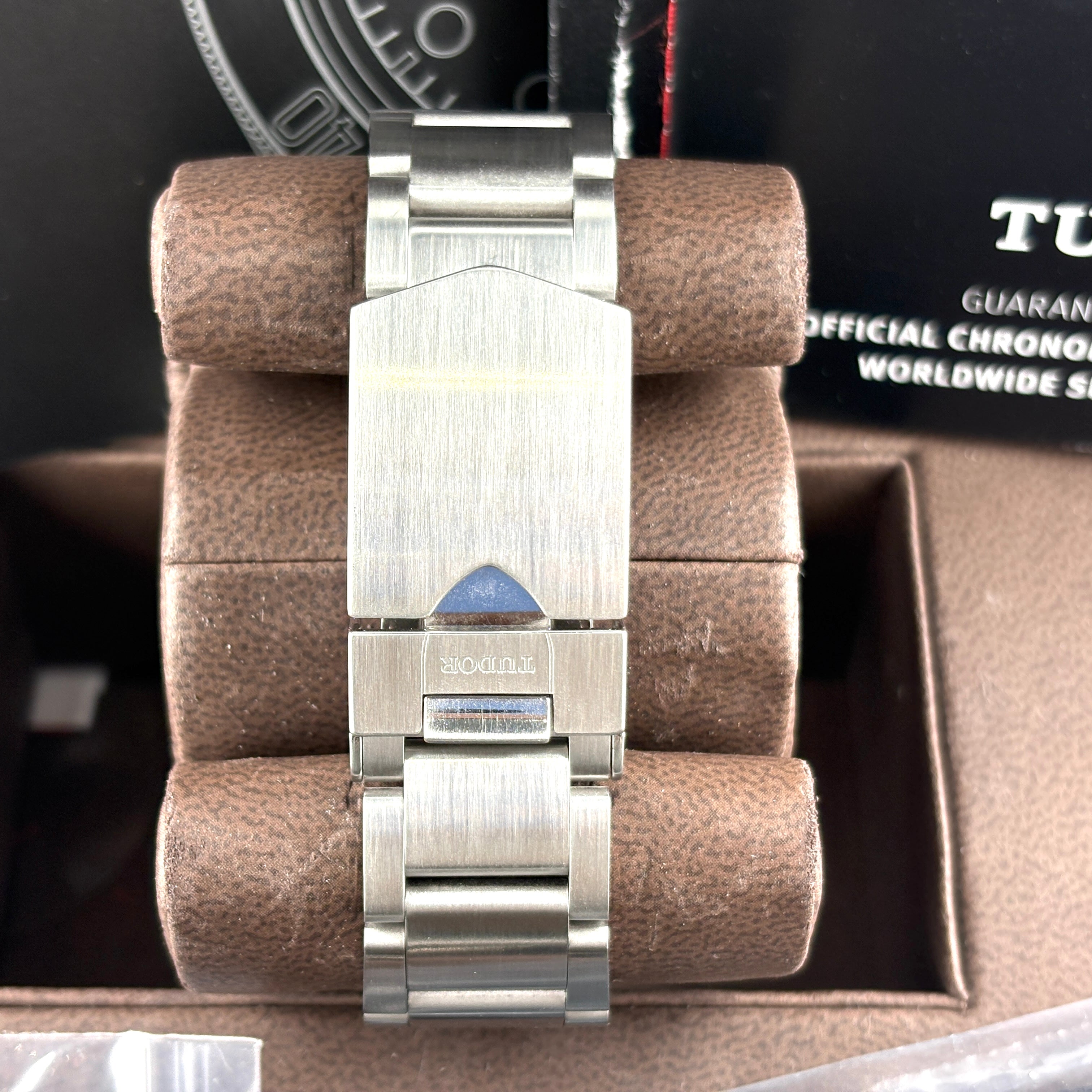 Tudor Black Bay