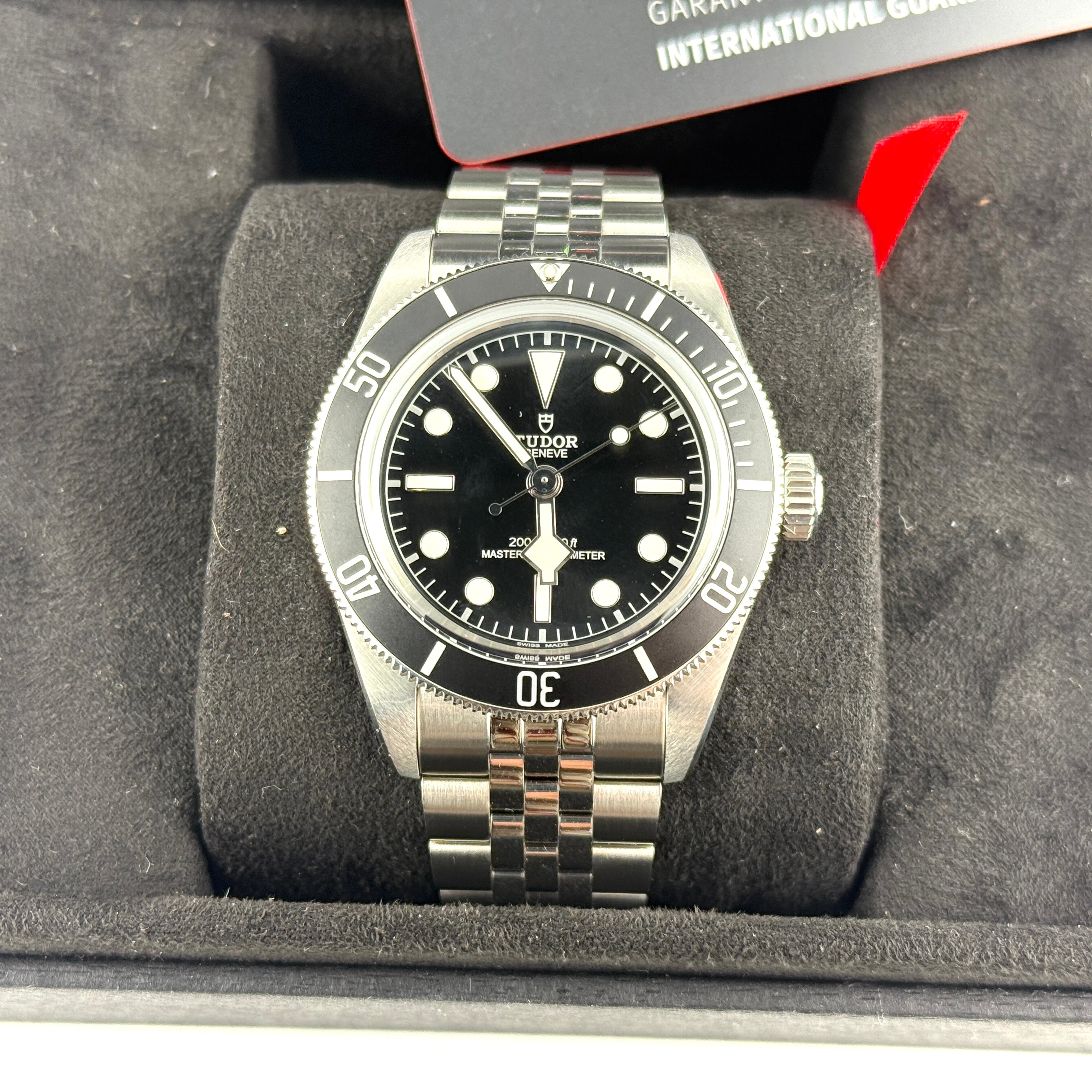 Tudor Black Bay